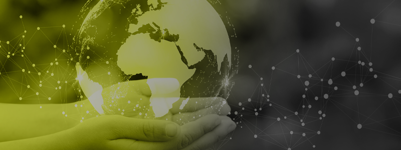 800x300_Blog-7 Tips for Greener Testing