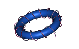 Three Wire Bundle with 12 Turns around Circular Toroid - Copy